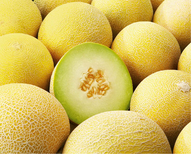 Melon Jaune et Galia